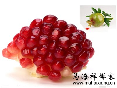 百度石榴算法 百度石榴算法的上线对站长们有什么影响-马海祥博客