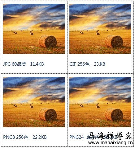 对比大小及效果展示 网站图片优化的分类有哪些?-马海祥博客