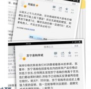 京东商城vs苏宁易购明为价格站，实为电子商务站