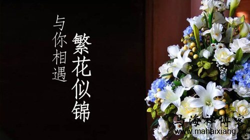 文章排版怎么才有美感-马海祥博客